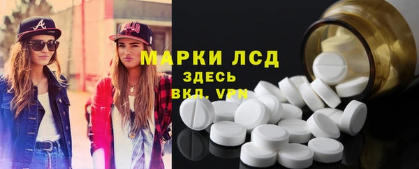 хмурый Алексин