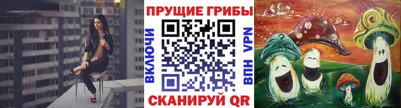 Псилоцибиновые грибы прущие грибы  Агидель 